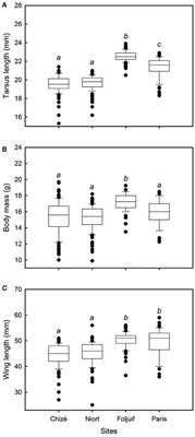 Growing in Cities: An Urban Penalty for Wild Birds? A Study of Phenotypic Differences between Urban and Rural Great Tit Chicks (Parus major)